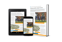 Ordnung schaffen, Regeln brechen - ISR Innovative Stadt- und Raumplanung GmbH, Haan